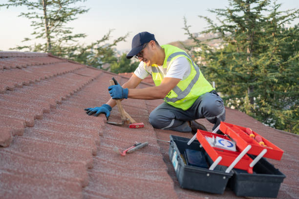 Best Flat Roof Repair Services  in Wink, TX